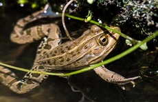 h2014.9.15 3.jpg